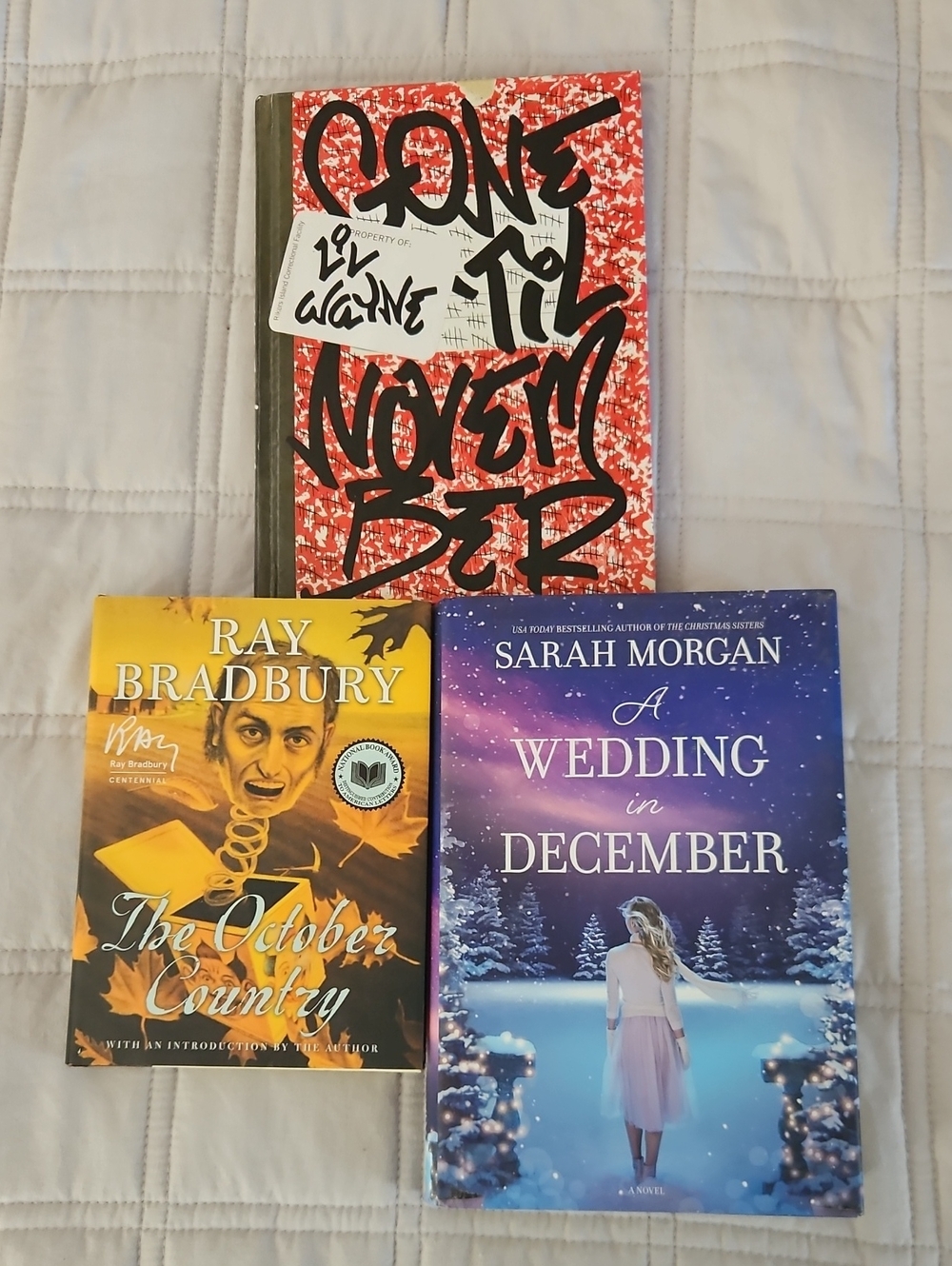 Set Of 3 Hardcover Novels